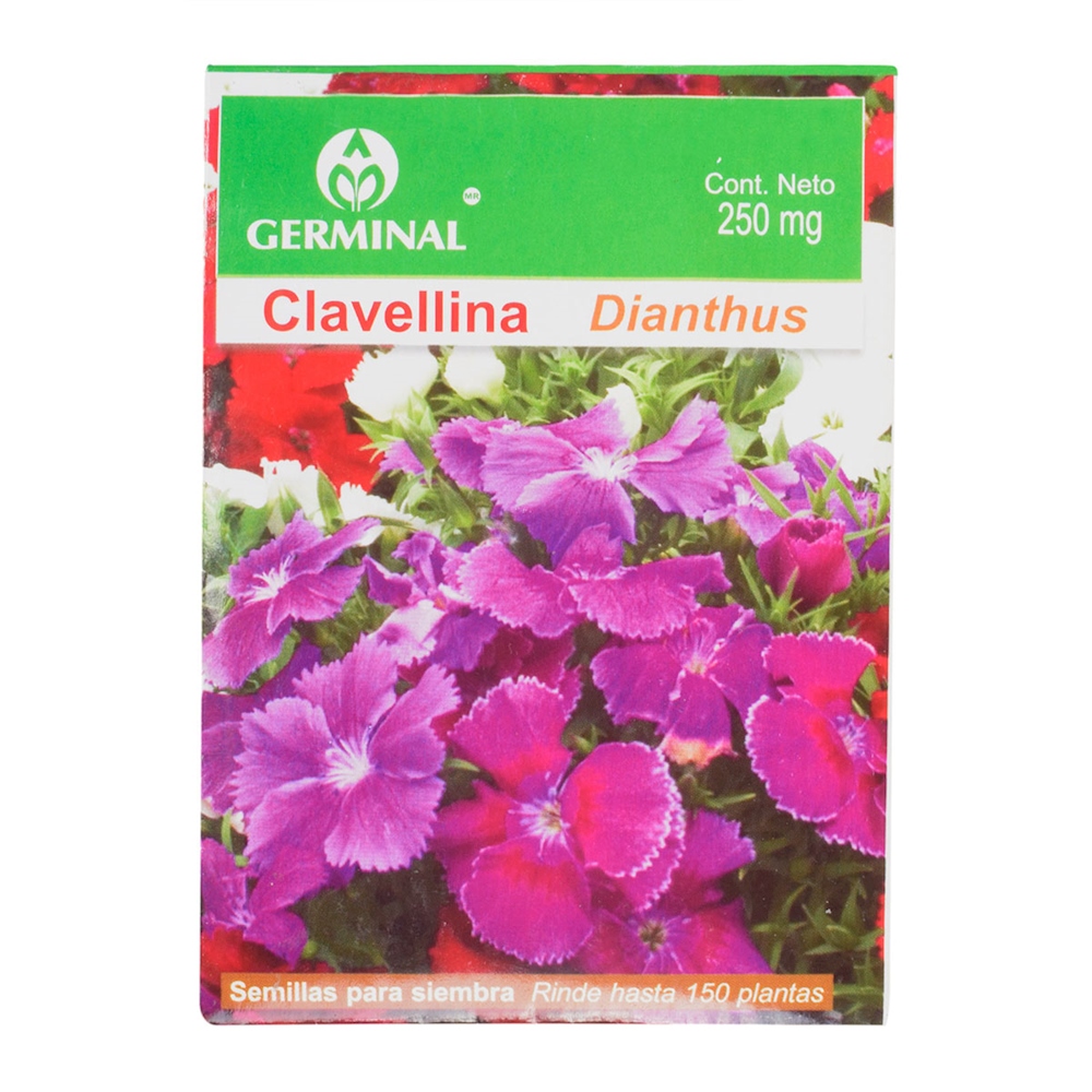 Semillas Para Siembra Clavellina Mg Violeta Germinal The Home