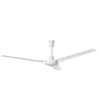 Ventiladores de techo