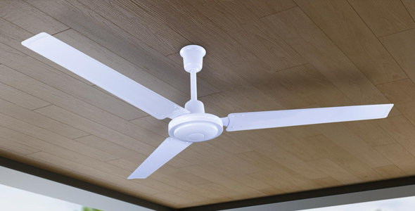 Ventiladores de techo