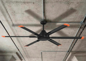 Ventiladores de techo