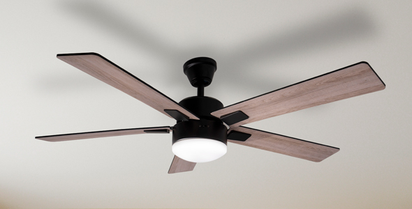 Ventiladores de techo