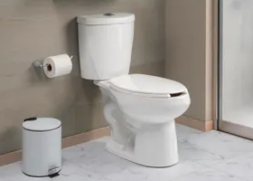 Sanitarios
