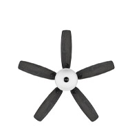 Ventiladores de techo