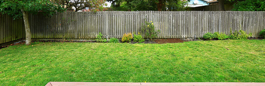 Jardín con césped de semilla rodeado por una cerca