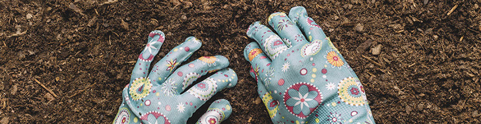 CÓMO MEJORAR EL ASPECTO DEL CÉSPED | The Home Depot México