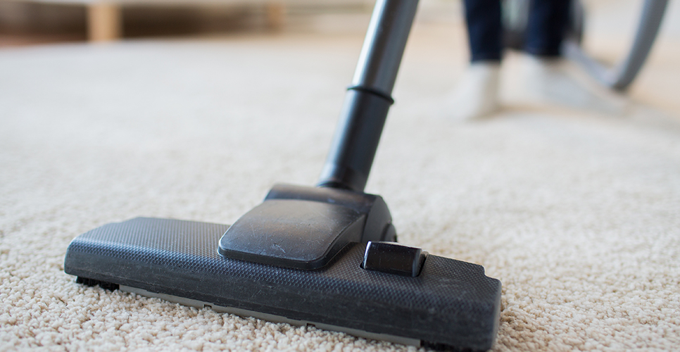 Realizando limpieza de alfombra con aspiradora canister.
