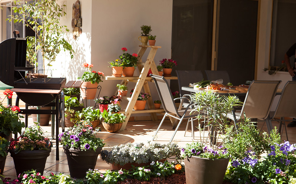 6 flores de primavera que darán colorido a tu jardín | The Home Depot México