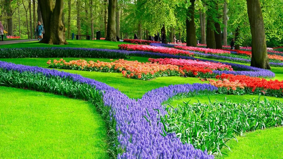 Jardín Keukenhof – Holanda.