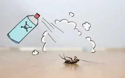 Eliminar insectos