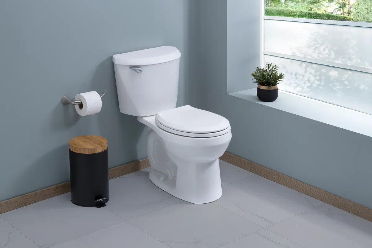 Sanitario reliant de 2 piezas