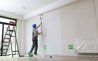 Pintar muro
