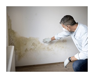 Conoce más sobre la pintura antihongos