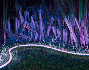 Mangueras luminosas