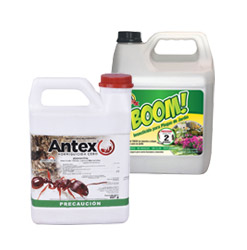 Insecticidas