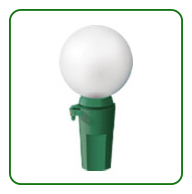 Globo