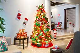 Colección Cheer