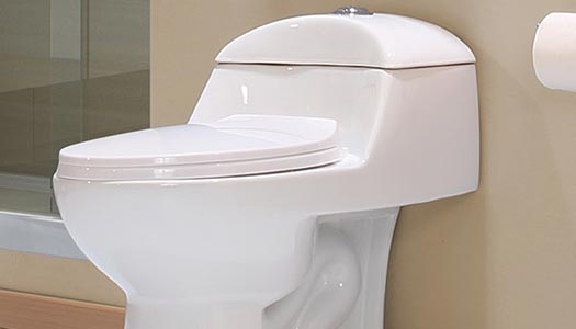 Sanitarios de una pieza