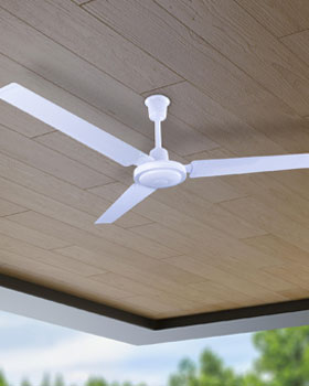Ventiladores de techo
