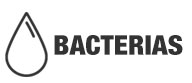 Bacterias