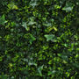 Description img 5