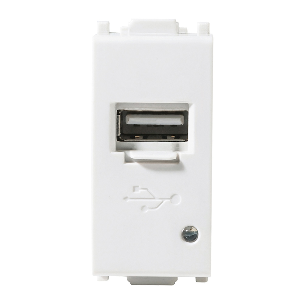 Toma de carga usb tipo a y tipo c de 1 módulo blanco