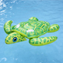 TORTUGA INFLABLE