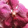 Description img 6