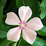 Description img 5