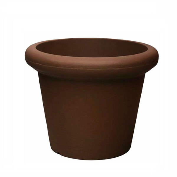 ROSA 45 RUSTICA BRONCE