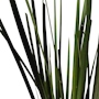Description img 5