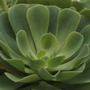 Description img 5