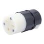 CONECTOR 7 X 3.7 CM NEGRO LEVITON