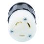 CONECTOR CON SEGURO 9 X 5.2 CM BLANCO LEVITON