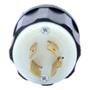 CLAVIJA CON SEGURO 9.3 X 5.5 CM NEGRO LEVITON