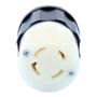 CONECTOR CON SEGURO 9.6 X 5.5 CM BLANCO LEVITON