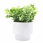 PLANTA DEC. CERAMICA BLANCA CH