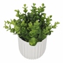 PLANTA DEC. EUCALIPTO BLANCA