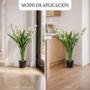Description img 8