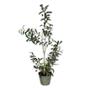PLANTA OLIVO EVEN ARTIFICIAL 90 X 20 CM CON MACETA DE METAL
