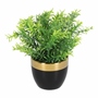 PLANTA DEC. NEGRO CON DORADO