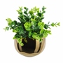 PLANTA DEC. PARED DORADA