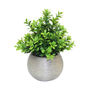 PLANTA DE PLÁSTICO DECORATIVA 26 X 20 CM CON MACETA DE CERÁMICA