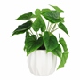 PLANTA DEC. BLANCA DELUXE HOJA GRANDE