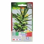 SEMILLAS DE PAPAYA MARADOL 0.37 GR HORTAFLOR