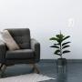 Description img 6