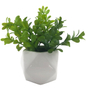 PLANTA ARTIFICIAL DECORATIVA CON MACETA BLANCA DE CERÁMICA