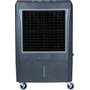 ENFRIADOR EVAPORATIVO PORTATIL FRIKKO FORTE F3900PCM, 40 LITROS, POTENCIA 300WATTS,125 V.