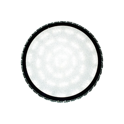 PLAFÓN WELLIS 40 WATTS