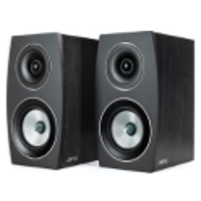 MONITOR PASIVO NEGRO C 91 II 1066718