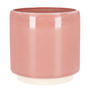 3"/8CM ENO MACETA - ROSA VIEJO